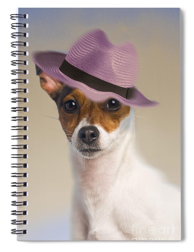 Dog Spiral Notebook featuring the photograph Jack Russell Terrier by Jean-Michel Labat