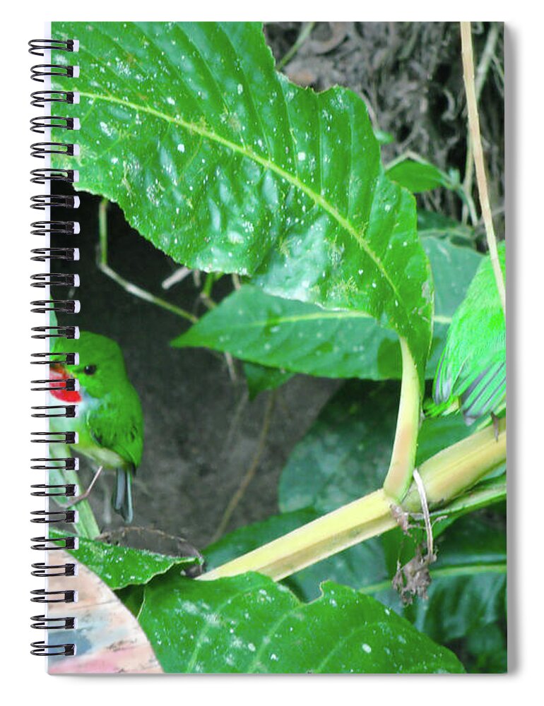 Birds Spiral Notebook featuring the photograph Jamaican Toadies by Carey Chen