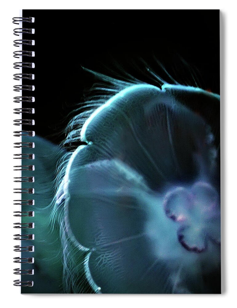 Las Vegas Spiral Notebook featuring the photograph Jellies in Blue Light by Art Block Collections