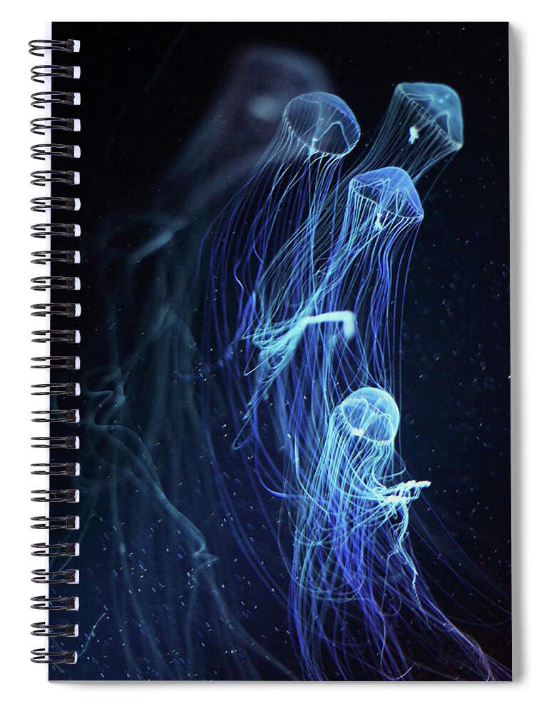 Underwater Spiral Notebook featuring the photograph Jellyfish by Rihito Aizawa