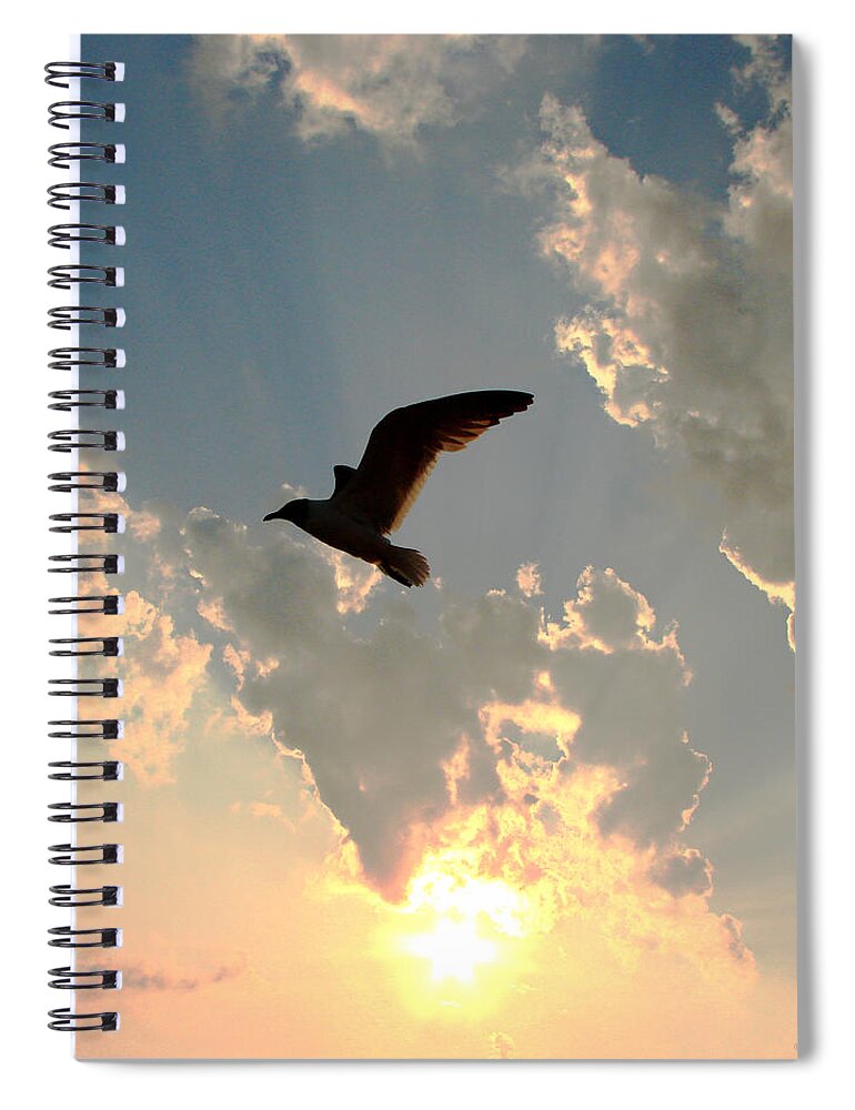 Beach Spiral Notebook featuring the photograph JL Seagull by Dark Whimsy