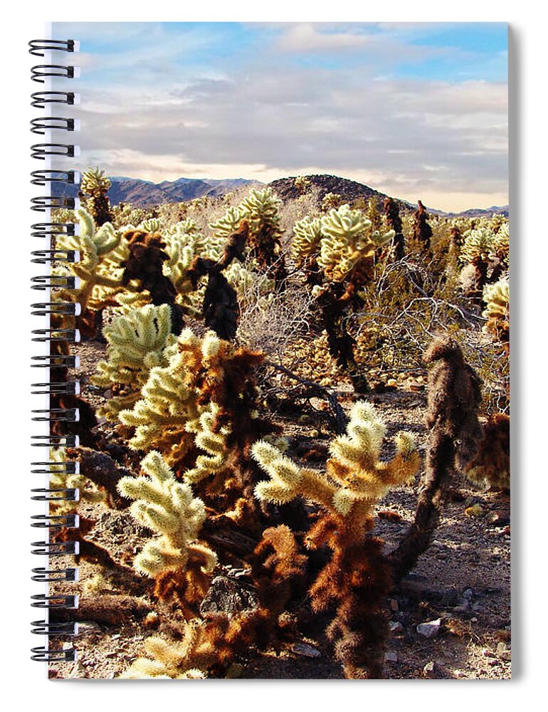 Cholla Cactus Garden Spiral Notebook featuring the photograph Joshua Tree National Park 3 by Glenn McCarthy Art and Photography
