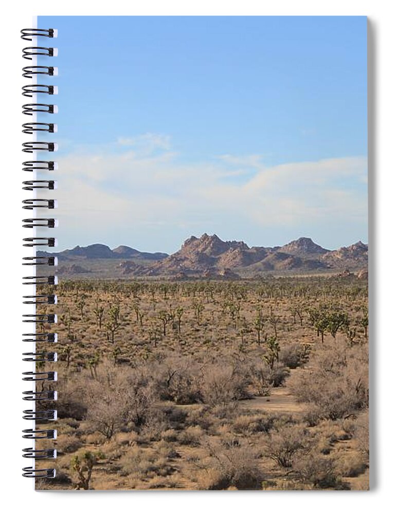 Joshua Tree National Park Spiral Notebook featuring the photograph Joshua Tree National Park by Amy Gallagher