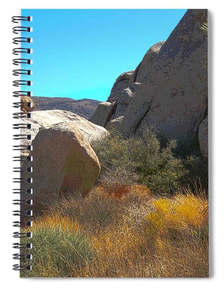 Joshua Spiral Notebook featuring the photograph Joshua Tree National Park by Penny Lisowski