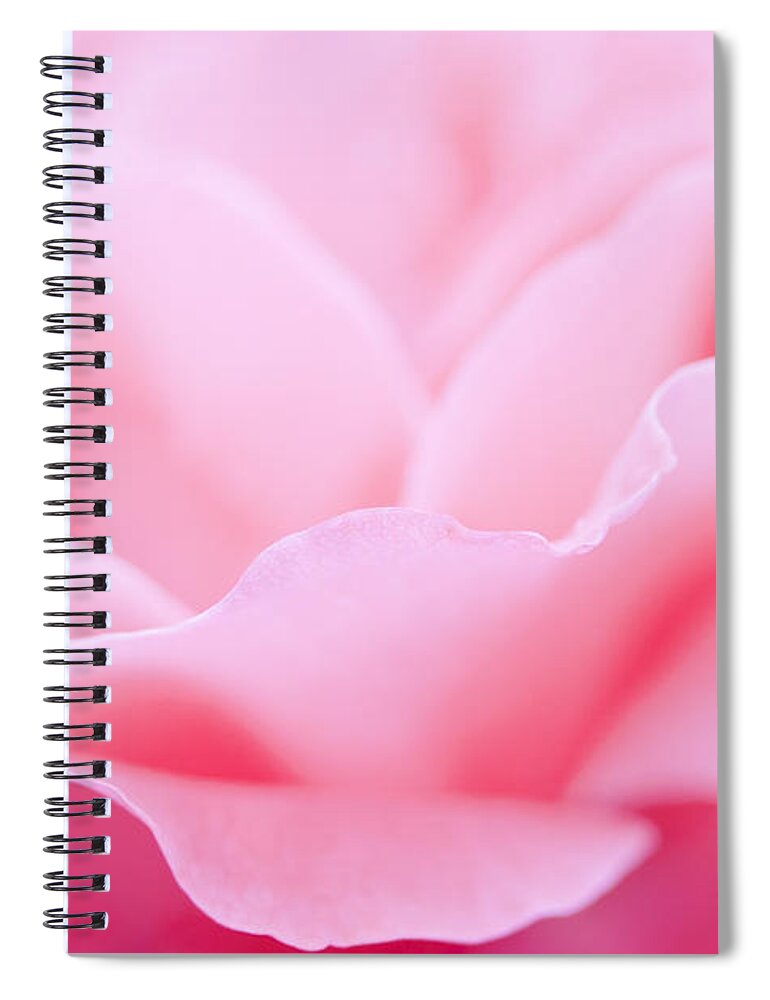 Rose Spiral Notebook featuring the photograph Joyful by Patty Colabuono