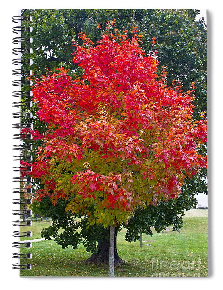 Battlefields Spiral Notebook featuring the photograph Just a Bit Flashy by Kathy McClure