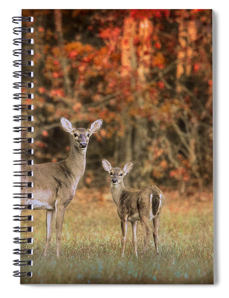 Animal Spiral Notebook featuring the photograph Just After Sunrise by Jai Johnson