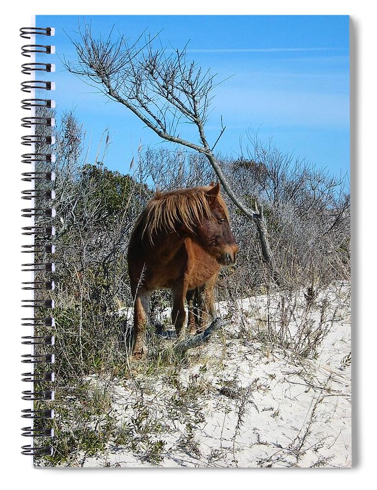 Horse Spiral Notebook featuring the photograph Just another day at the beach by Photographic Arts And Design Studio