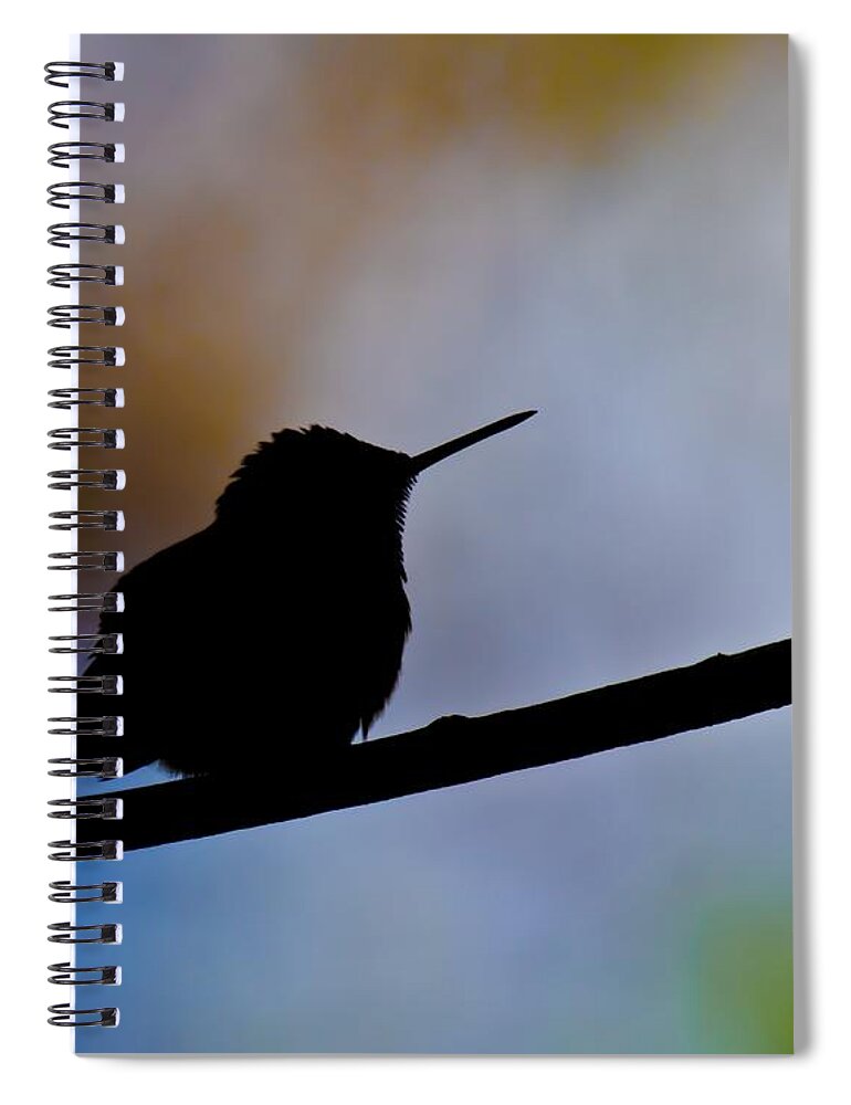 Ruby-throat Hummingbird Spiral Notebook featuring the photograph Just Chillin by Robert L Jackson