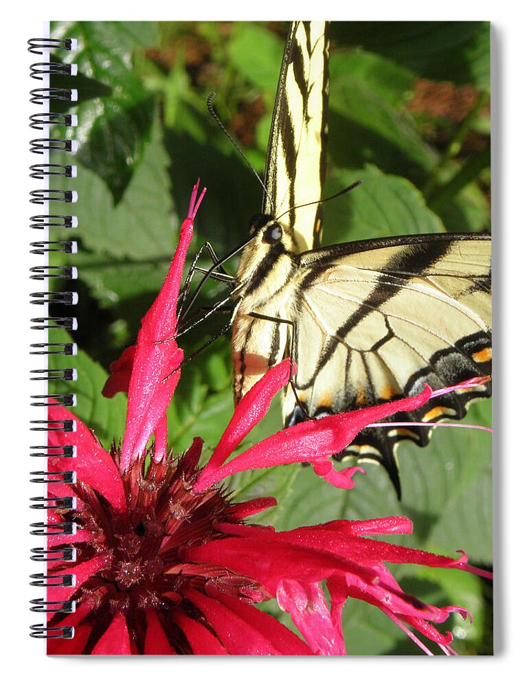 Flower Spiral Notebook featuring the photograph Just the right angle by Kim Galluzzo