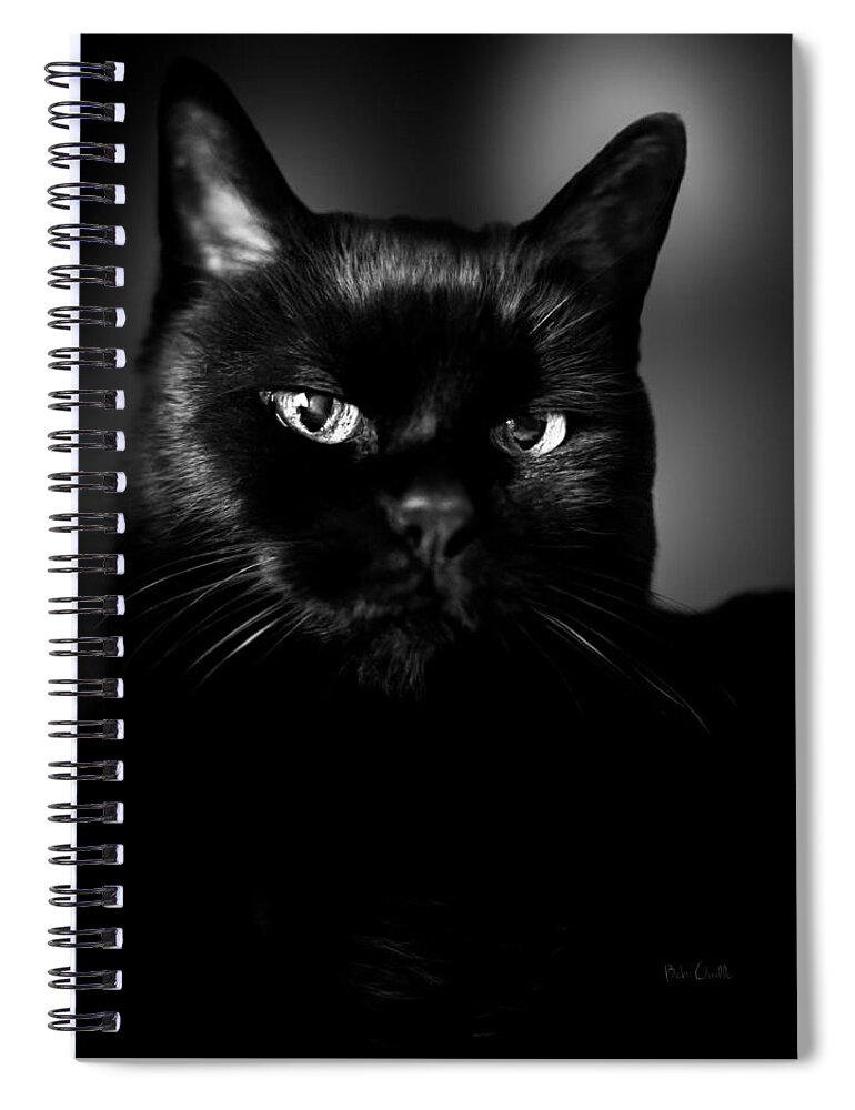 Cat Spiral Notebook featuring the photograph Just Thinking by Bob Orsillo