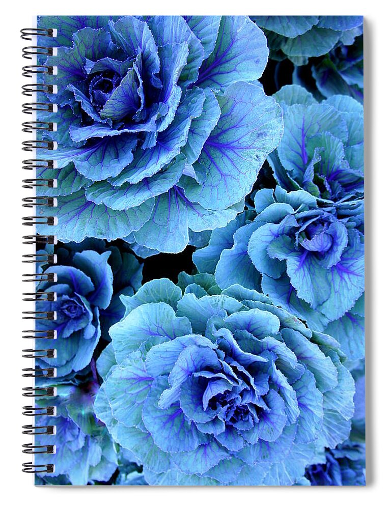 Kale Spiral Notebook featuring the photograph Kale by Laurie Perry