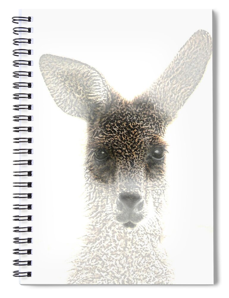 Animals Spiral Notebook featuring the photograph Kangaroo by Holly Kempe