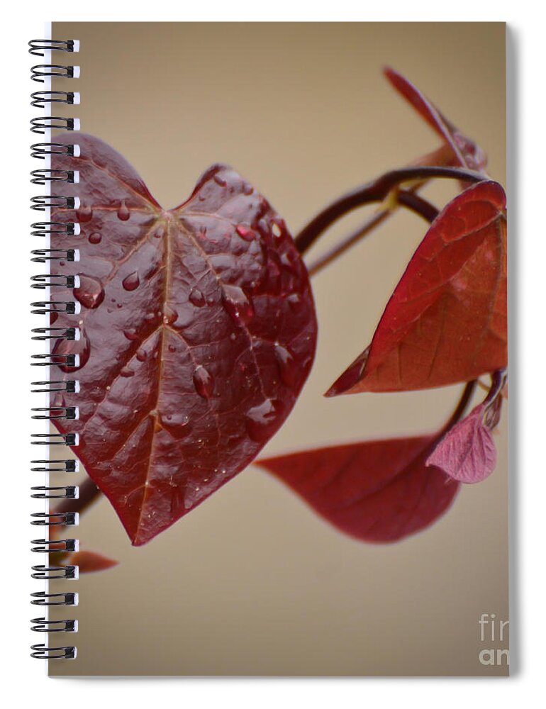 Heart Spiral Notebook featuring the photograph Kindness Can Change The World by Kerri Farley