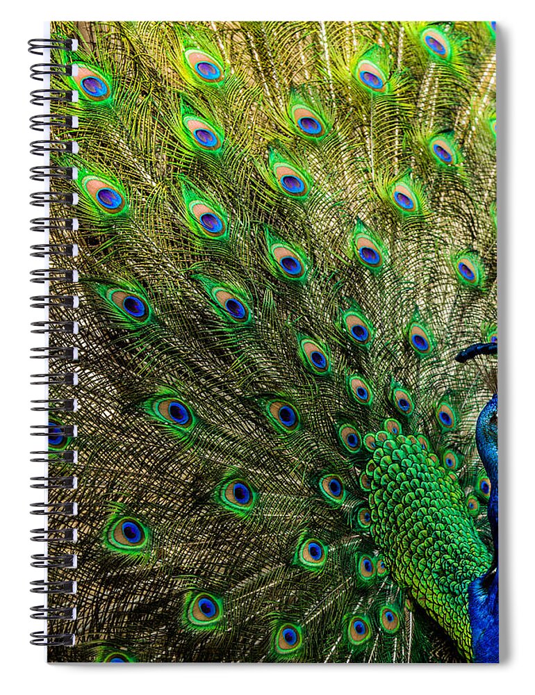 Peacocks Spiral Notebook featuring the photograph KING of BIRDS by Karen Wiles