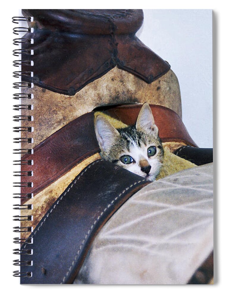 Cat Spiral Notebook featuring the photograph Kitty in the Saddle by Kae Cheatham