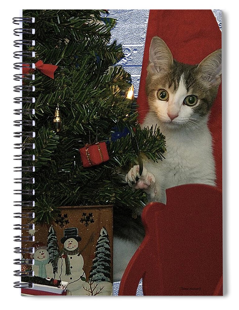 Animals Spiral Notebook featuring the photograph Kitty Says Happy Holidays by Thomas Woolworth