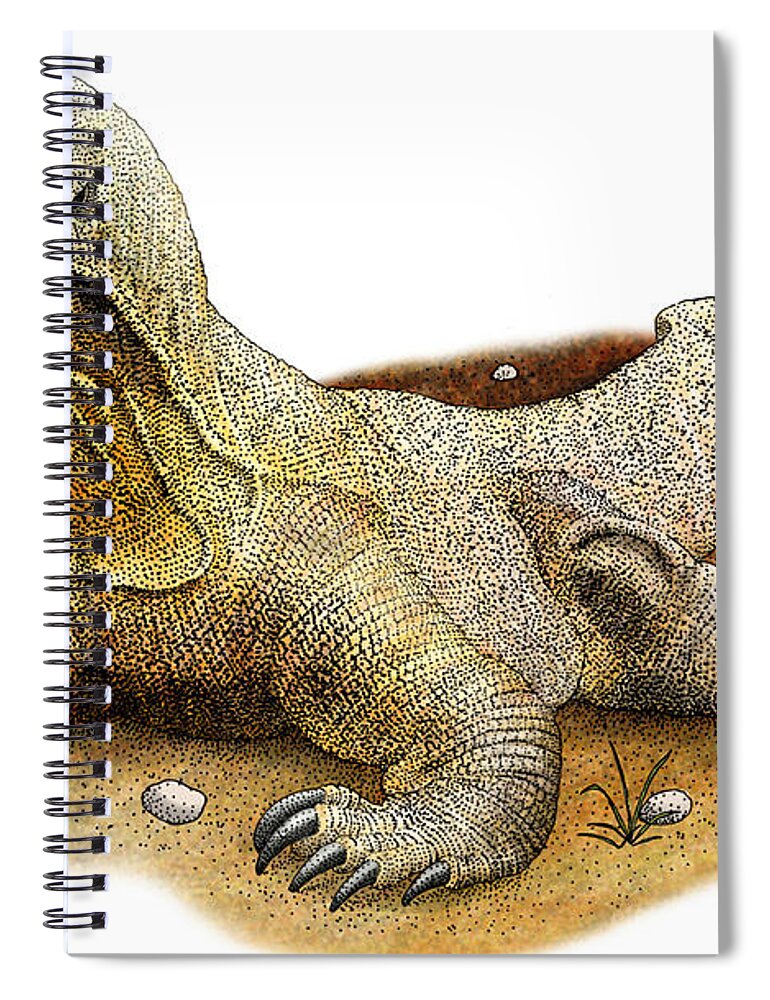 Lizard Spiral Notebook featuring the photograph Komodo Dragon by Roger Hall
