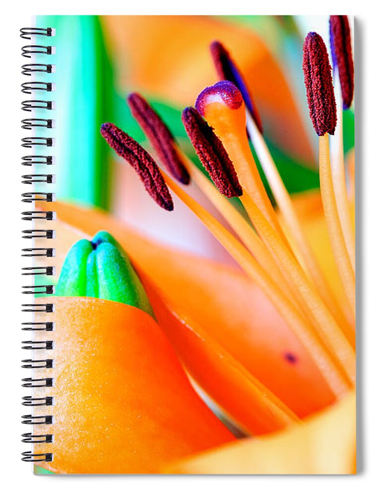 Art Spiral Notebook featuring the photograph L I L Y by Charles Dobbs