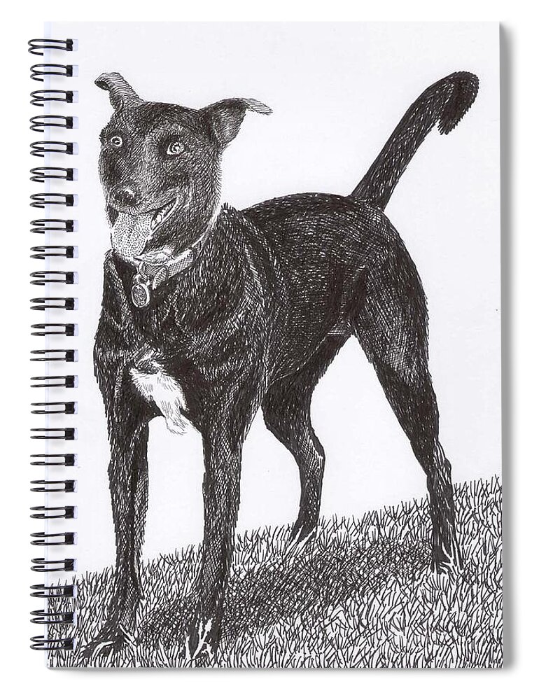 Priced Starting At $ 100.00 To $ 125.00 Framed Prints Of Man�s Best Friend. Framed Pen & Ink Art Of Winer Dogs. Ink Art Of Pets. Art Of Dogs And Cats.sue's Dog Drawn In Pen & Ink. Spiral Notebook featuring the drawing Here is Once OWN SEE by Jack Pumphrey
