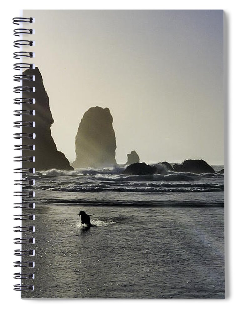 susan Molnar Spiral Notebook featuring the photograph Lady Jessica Of The Great Northwest by Susan Molnar