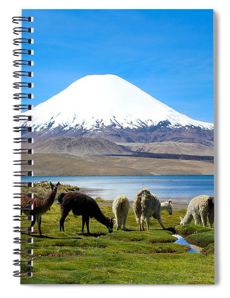 Lake Chungara Spiral Notebook featuring the photograph Lake Chungara Chilean Andes by Kurt Van Wagner