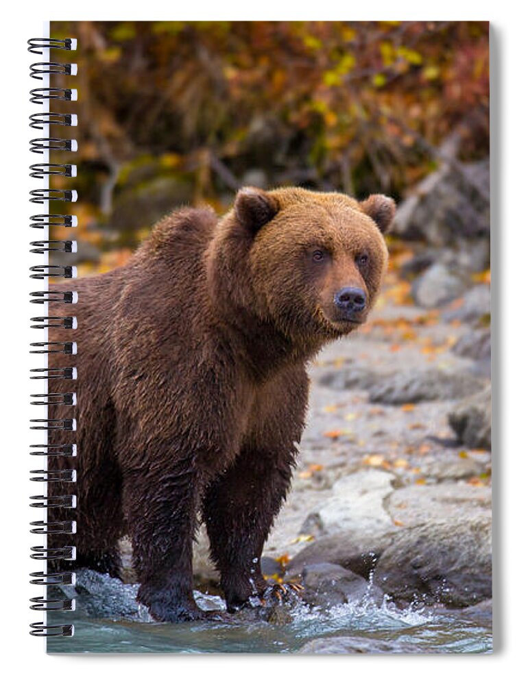 Bear Spiral Notebook featuring the photograph Lake Scan by Kevin Dietrich