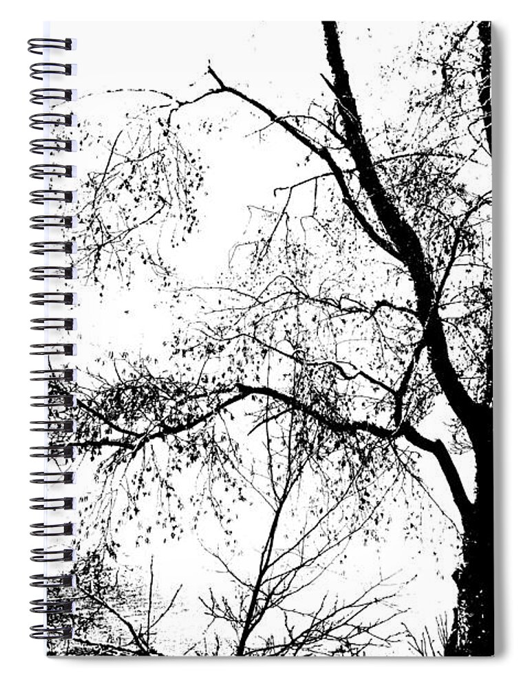 Tree Spiral Notebook featuring the photograph Lake - Tree - At the Lake by a Tree by Marie Jamieson