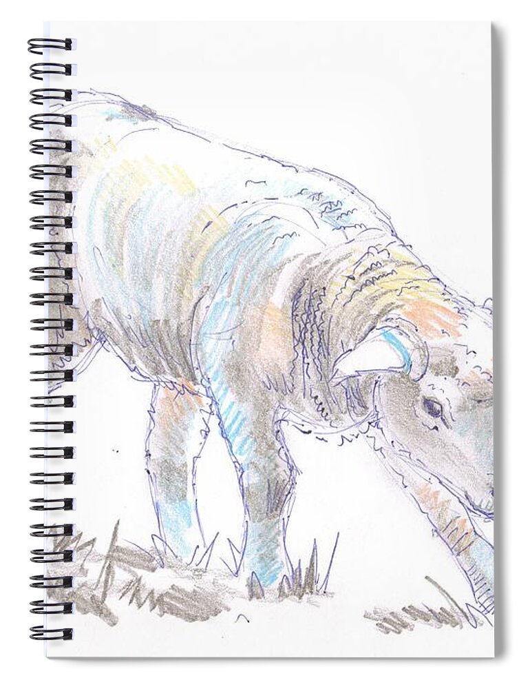 Lamb Spiral Notebook featuring the drawing Lamb Sketch by Mike Jory