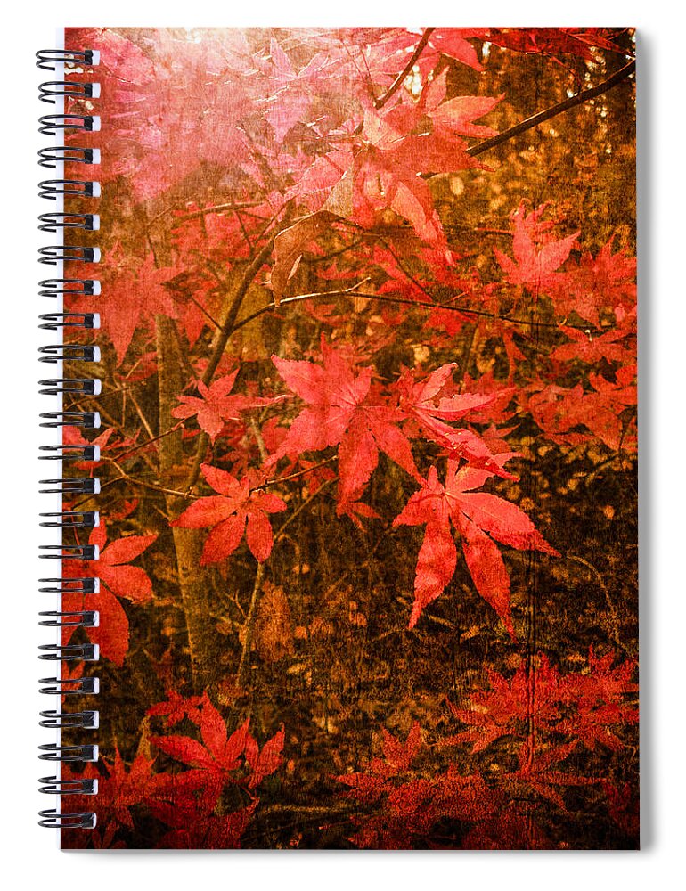 Fall Spiral Notebook featuring the photograph Last Color of Autumn by Frank Winters