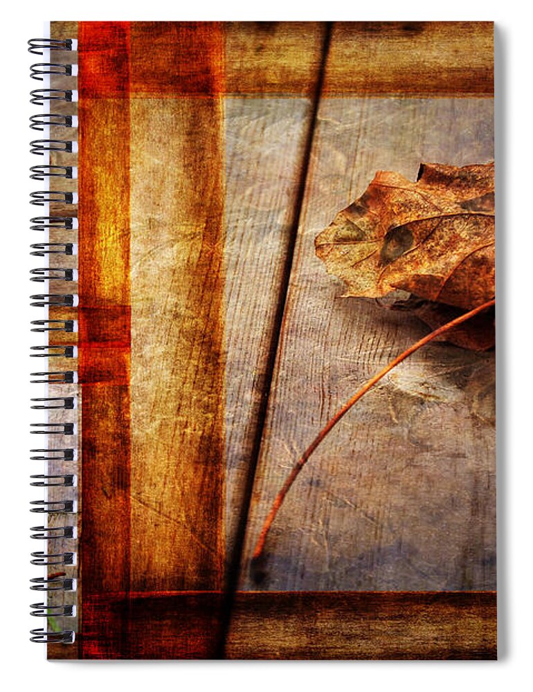 Leaves. Leaf Spiral Notebook featuring the photograph Last Days by Randi Grace Nilsberg