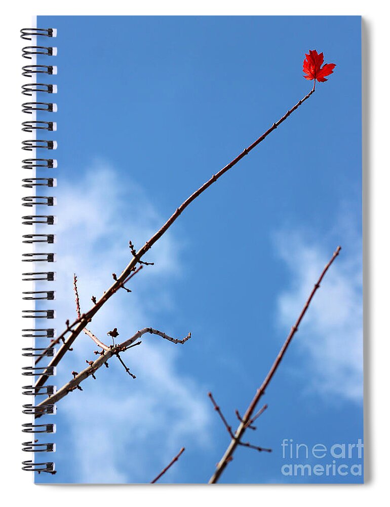Leaf Spiral Notebook featuring the photograph Last Leaf Standing by Karen Adams
