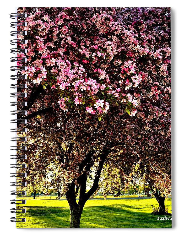 Flowering Trees Spiral Notebook featuring the photograph Late Afternoon at Lake Park by Susie Loechler
