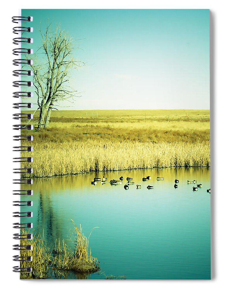 Late Spiral Notebook featuring the photograph Late Day Ducks by Marilyn Hunt
