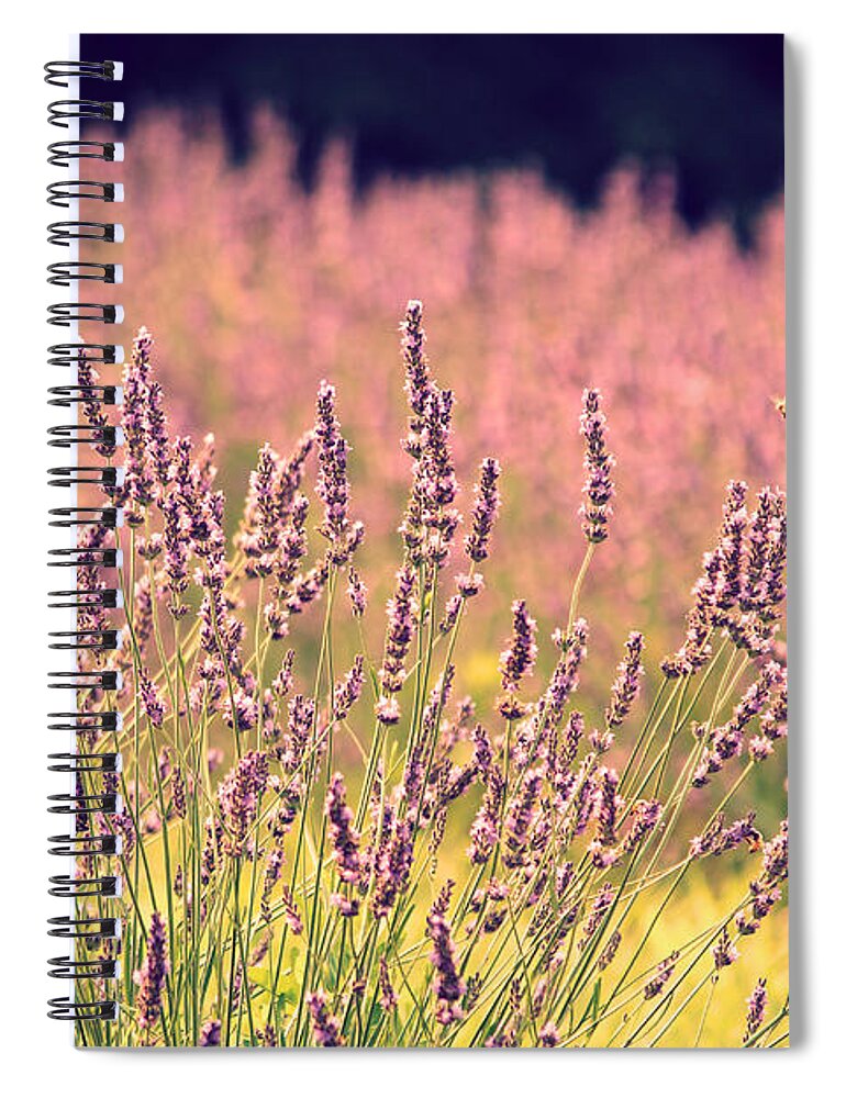 Lavender Spiral Notebook featuring the photograph Lavender Dreams by Lynn Sprowl