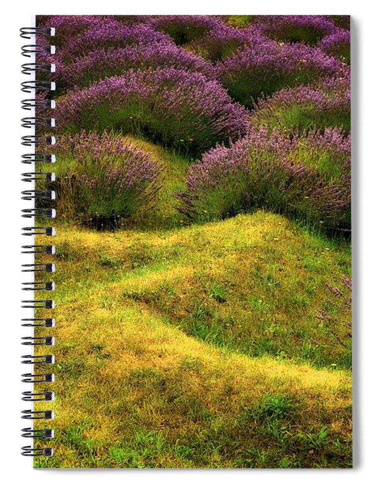 Lavender Spiral Notebook featuring the photograph Lavender Fields by Michelle Calkins