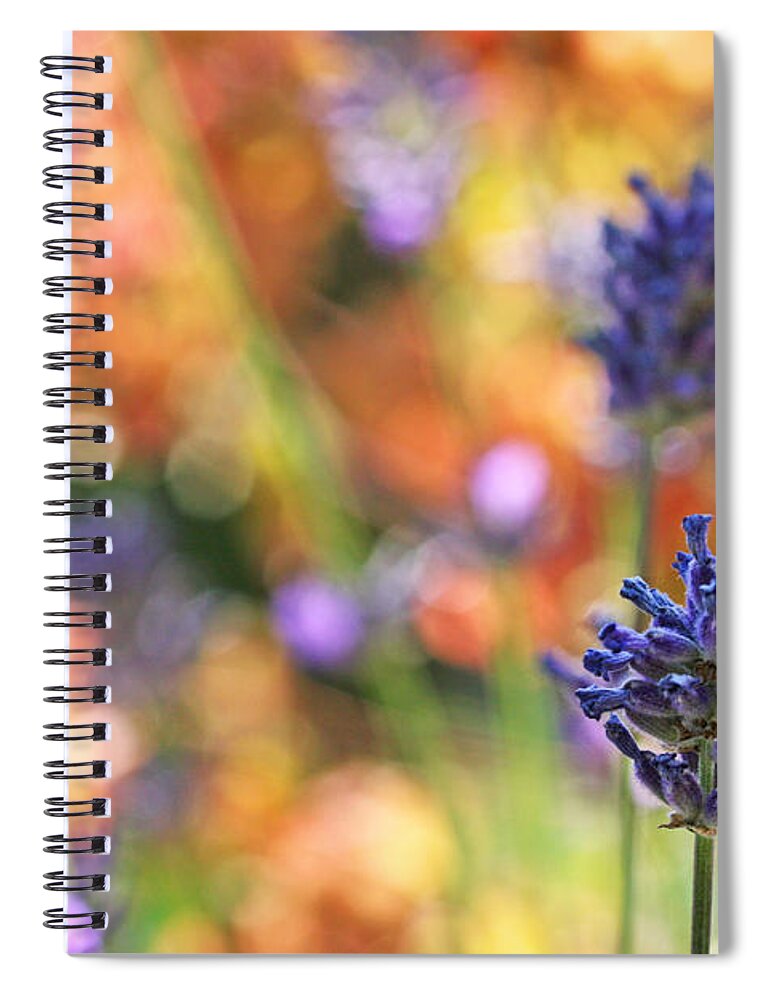 Lavender Spiral Notebook featuring the photograph Lavender Garden Bokeh by Peggy Collins