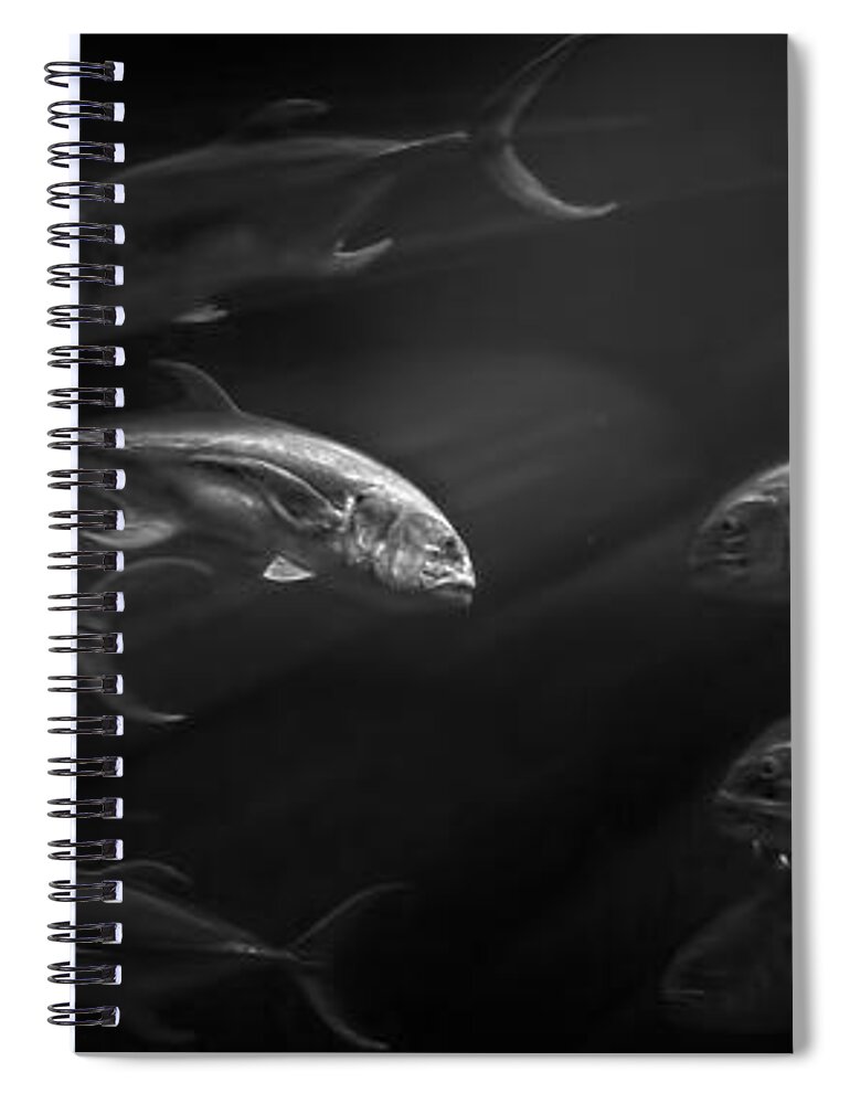 Fish Spiral Notebook featuring the photograph Lead Don't Follow by Mark Andrew Thomas