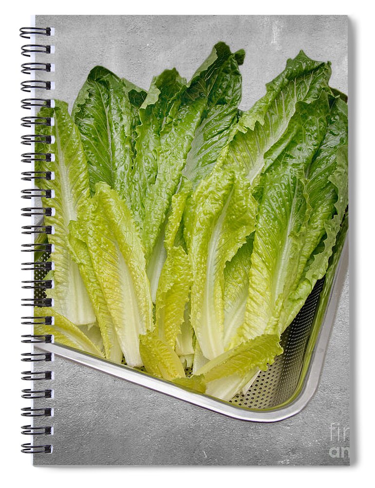 Leaf Lettuce Spiral Notebook featuring the mixed media Leaf Lettuce by Andee Design
