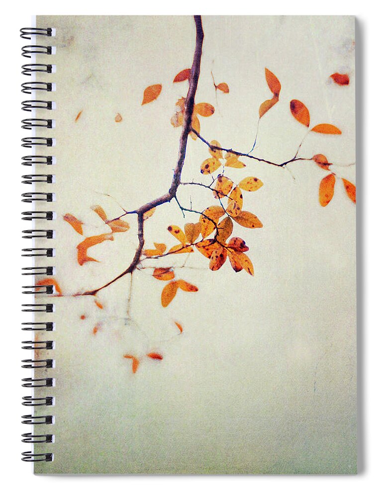 Dawn Spiral Notebook featuring the photograph Leaf Motif by Dawn D. Hanna
