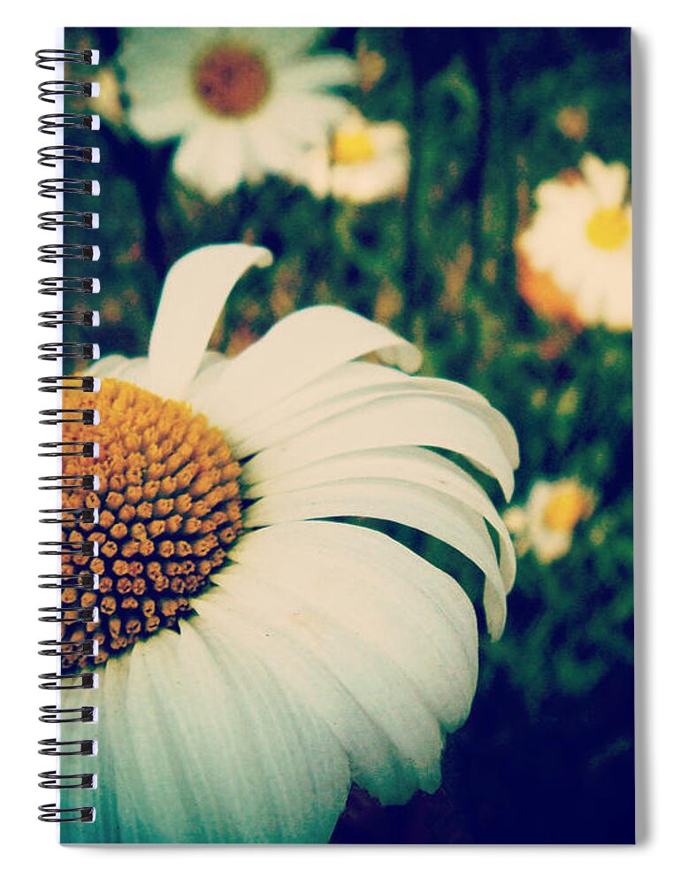 Daisy Spiral Notebook featuring the photograph Lean On You by Zinvolle Art