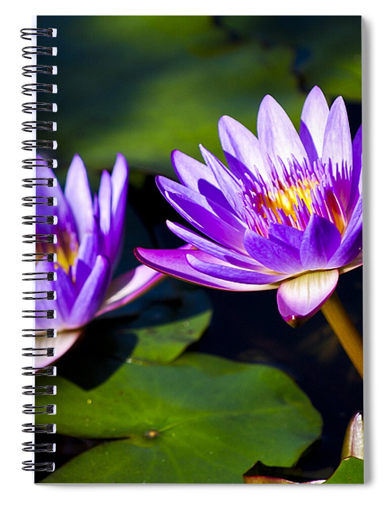 Bloom Spiral Notebook featuring the photograph Leaning Lily by Christi Kraft