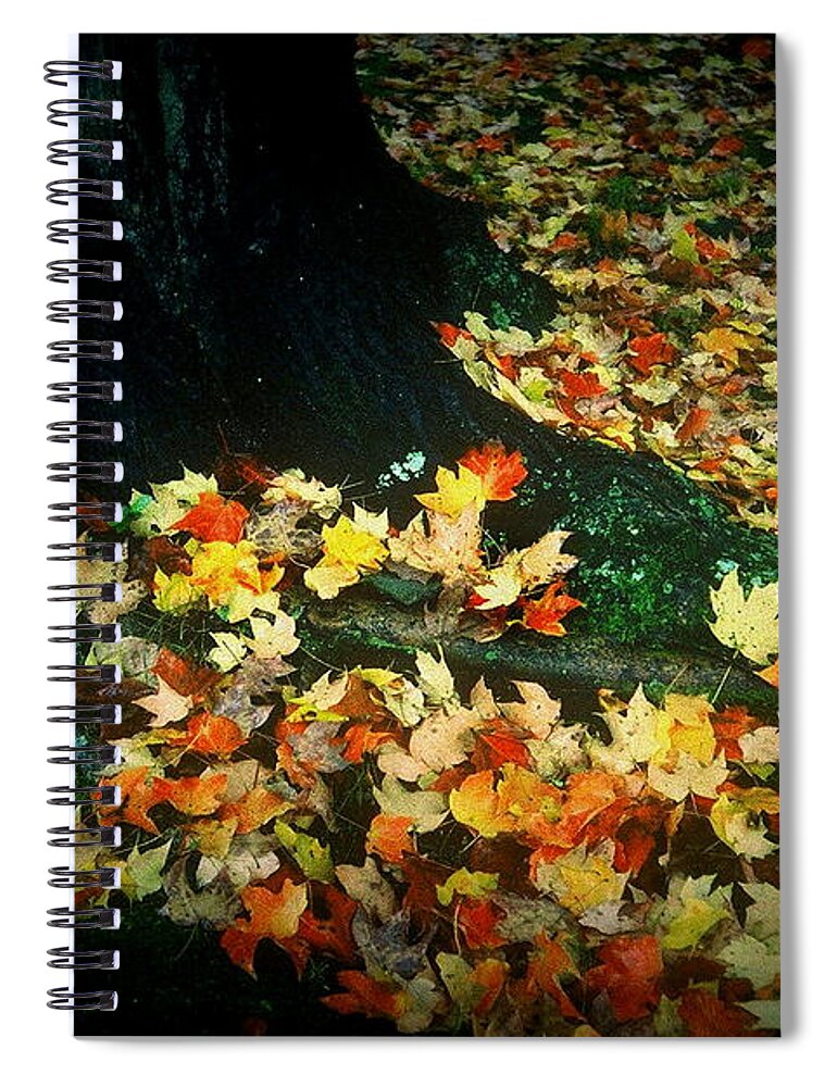 Fine Art Spiral Notebook featuring the photograph Leaves at Base of tree by Rodney Lee Williams