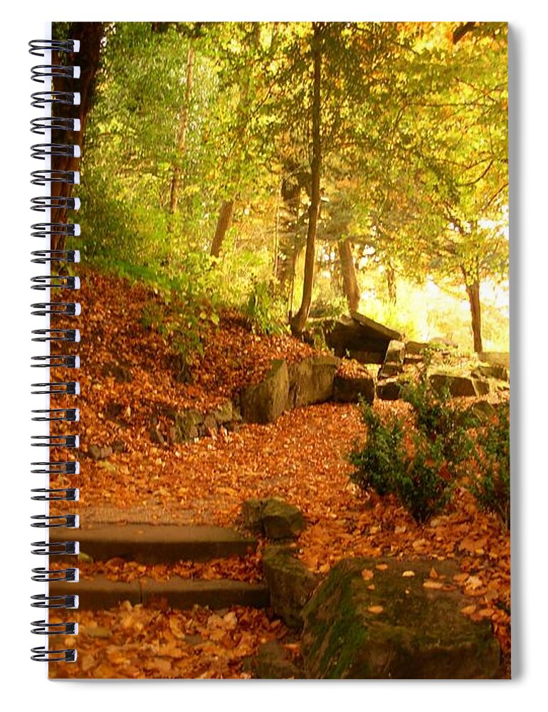 Park Spiral Notebook featuring the photograph Leaves on the Steps at Avenham Park by Joan-Violet Stretch