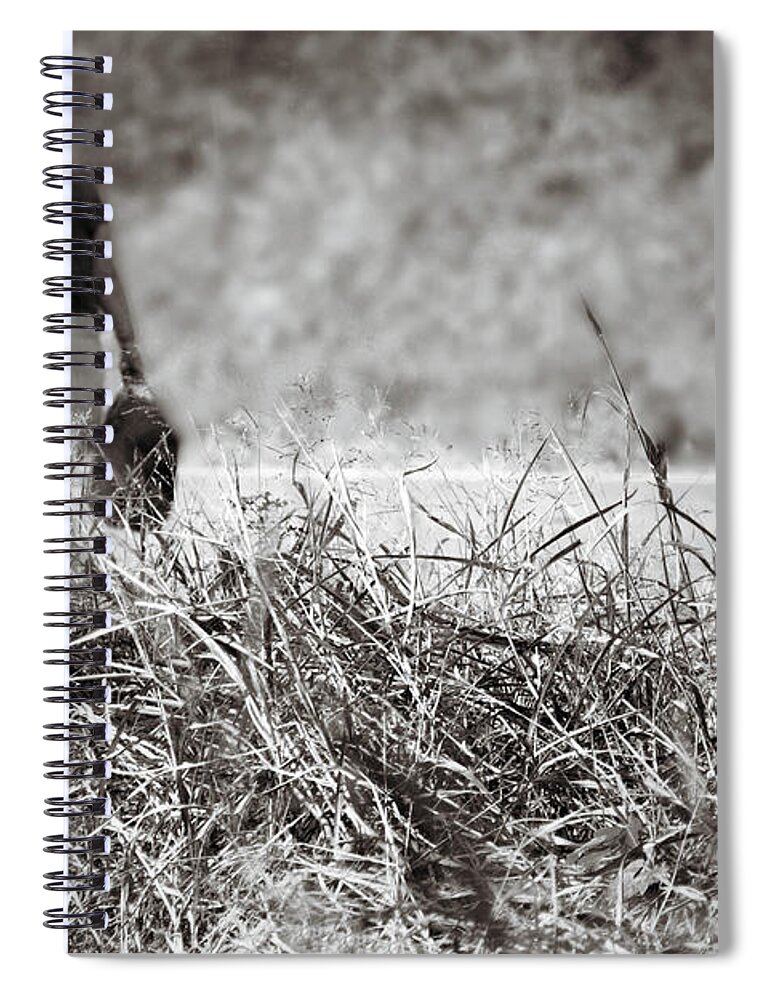 Grunge Spiral Notebook featuring the photograph Leaving by Jason Politte