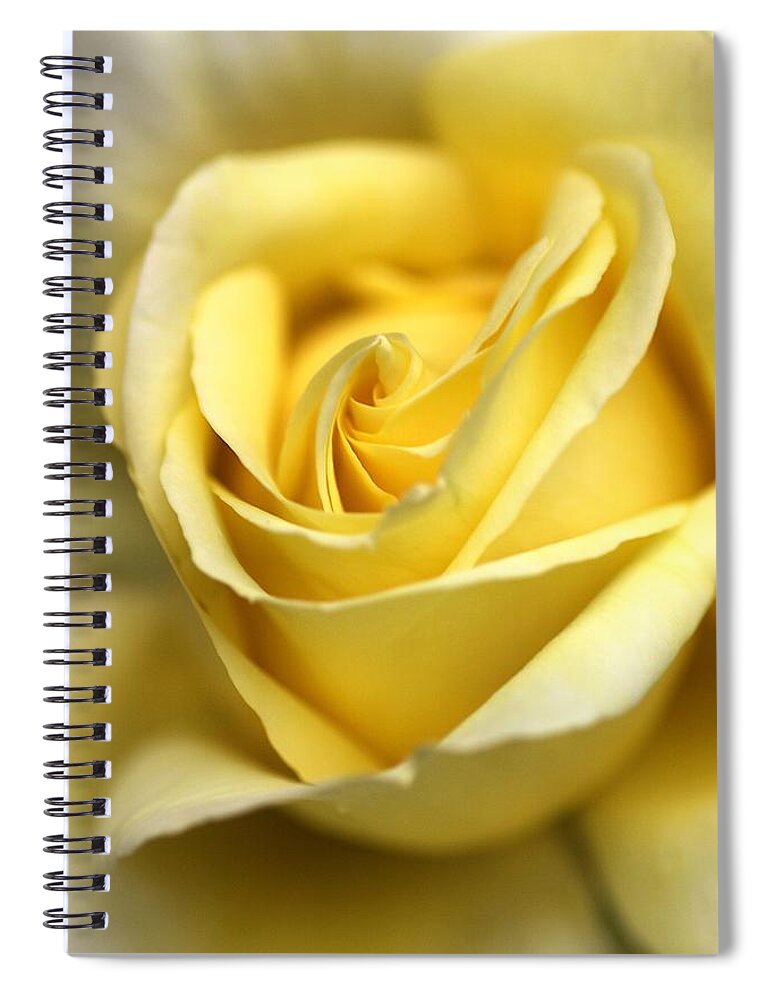 Floribunda Rose Spiral Notebook featuring the photograph Lemon Lush by Joy Watson