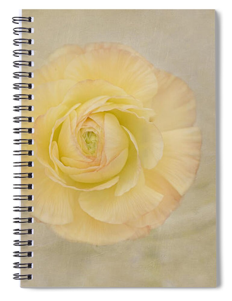 Yellow Flower Spiral Notebook featuring the photograph Lemon Pastels by Kim Hojnacki