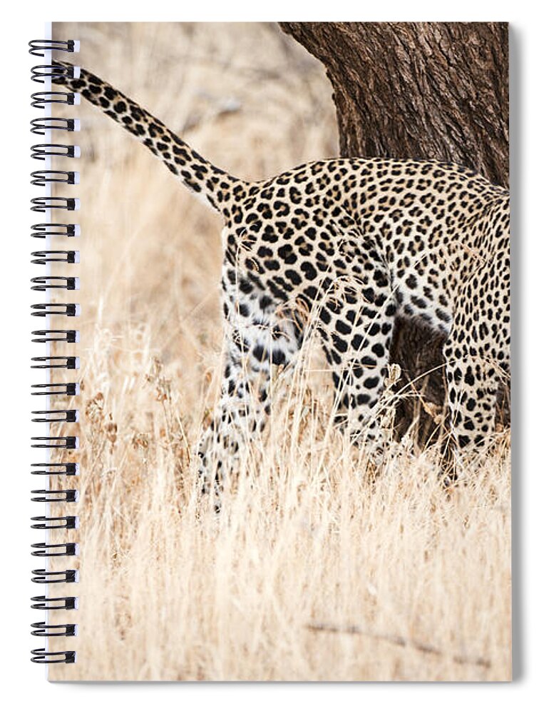 Leopard Spiral Notebook featuring the photograph Leopard 1 by Eyal Bartov