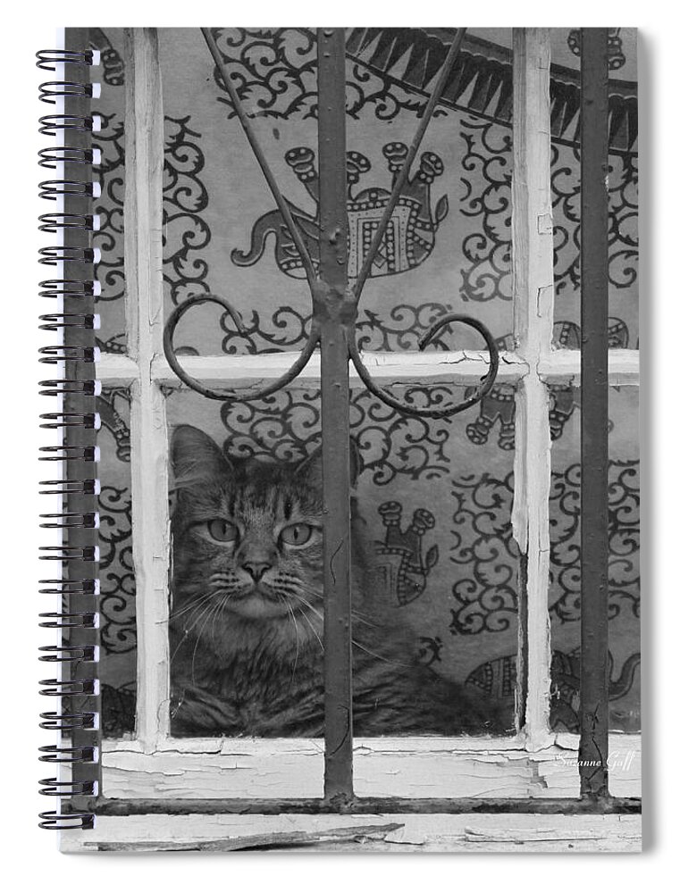 Photograph Spiral Notebook featuring the photograph Let Me Out - Ill Be Good by Suzanne Gaff