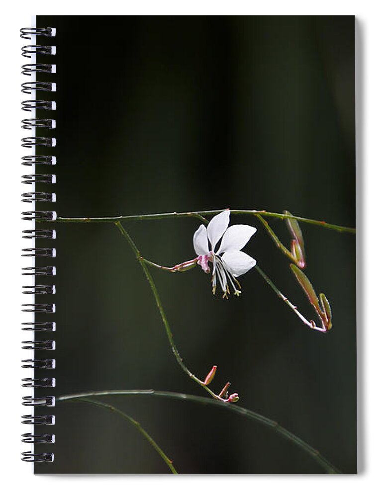 Flowers Spiral Notebook featuring the photograph Let the Children Sing. by Kathy McClure